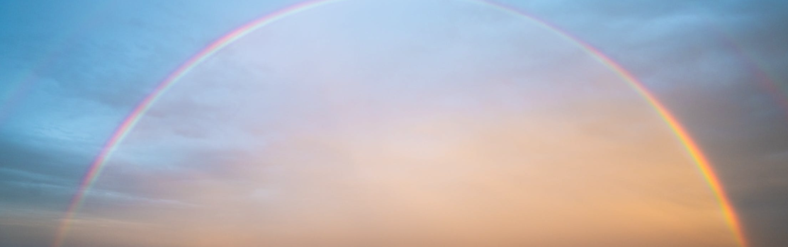 banner-basci.jpg