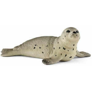 zeehondje.jpg