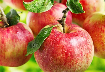 Apples.jpg